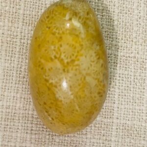 Polished Yellow Fossil Coral Cabochon